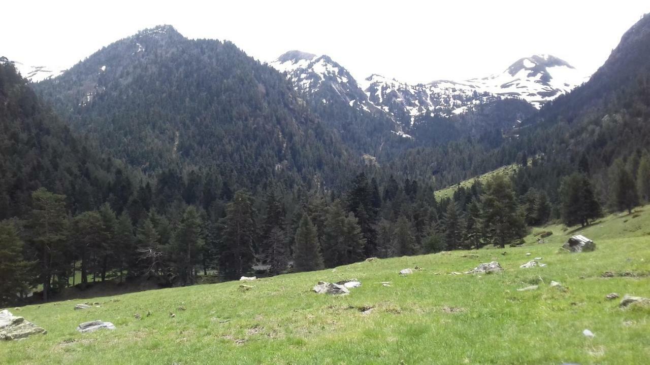 Studio St Lary Proche Du Centre, Au Calme Avec Vue Montagne Saint-Lary-Soulan Eksteriør billede